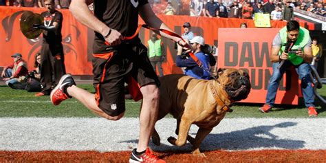 The Symbolism of Swagger in Cleveland Browns Mascots